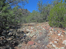 photo thumbnail #3