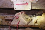 photo thumbnail #5