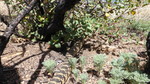 photo thumbnail #11