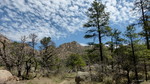 photo thumbnail #12