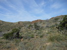 photo thumbnail #6