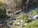 photo thumbnail #11