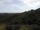 photo thumbnail #15
