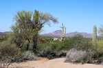 photo thumbnail #4