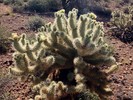 photo thumbnail #5