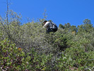 photo thumbnail #4