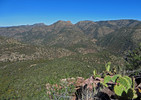 photo thumbnail #13