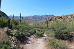 photo thumbnail #2