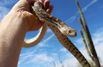 photo thumbnail #8