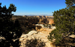photo thumbnail #7