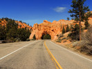 photo thumbnail #12