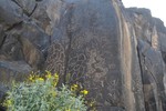 photo thumbnail #9