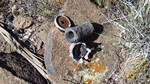 photo thumbnail #15