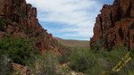 photo thumbnail #11