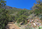 photo thumbnail #4