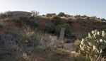 photo thumbnail #11