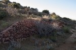 photo thumbnail #13