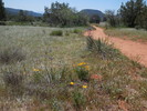 photo thumbnail #3
