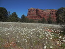 2015-04-06 :2: Courthouse Butte Loop Trail :: trekkin_gecko