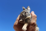 photo thumbnail #2