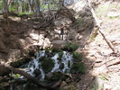 photo thumbnail #1