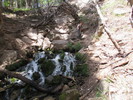 photo thumbnail #2