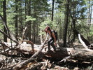 photo thumbnail #4