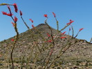 photo thumbnail #2