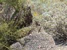 photo thumbnail #7