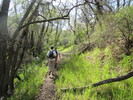 photo thumbnail #1
