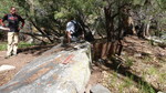photo thumbnail #3