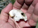 photo thumbnail #5