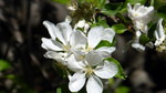 photo thumbnail #8