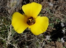 photo thumbnail #14