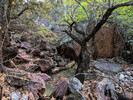 photo thumbnail #5