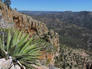 photo thumbnail #6