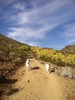 photo thumbnail #1