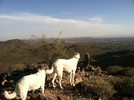 photo thumbnail #5