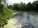 photo thumbnail #10