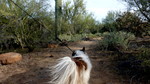 photo thumbnail #2