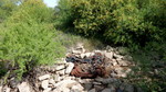 photo thumbnail #4
