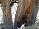 photo thumbnail #6