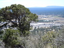 photo thumbnail #8
