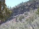 photo thumbnail #9