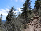 photo thumbnail #10