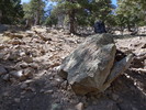 photo thumbnail #14