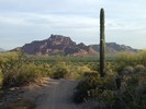 photo thumbnail #1