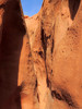 photo thumbnail #14