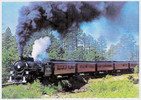 photo thumbnail #9