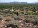 photo thumbnail #1